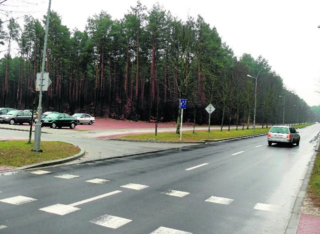 Bloki powstałyby przy ulicy Orzeszkowej, w miejscu, gdzie dziś rośnie sosnowy las na drodze do Huty Stalowa Wola.