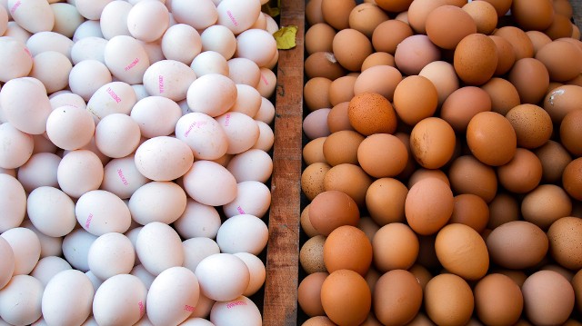 Jaja nie powinny być spożywane przez konsumentów. Konsumenci, którzy zakupili wskazane w komunikacie numery partii jaj powinni zwrócić je do sklepu, w którym dokonali zakupu.