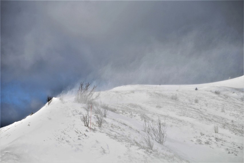 Marcowe Bieszczady