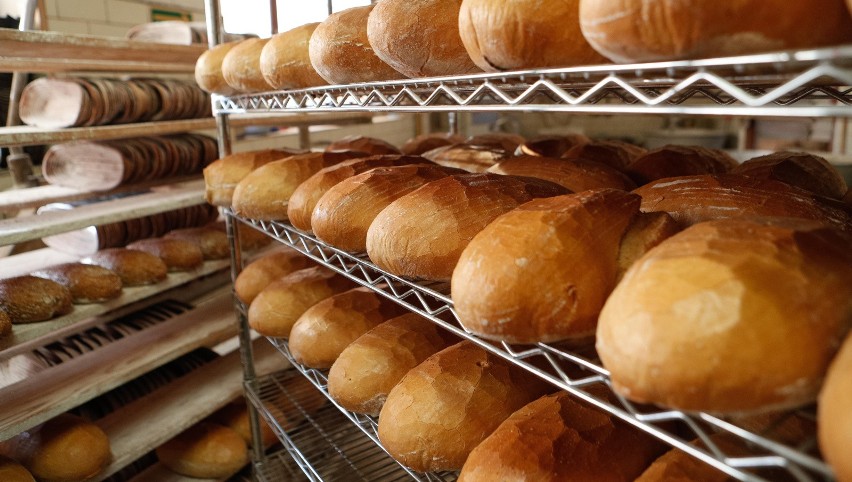 Ceny chleba mocno wzrosną? Rolnicy ostrzegają przed szokowym skokiem cen żywności