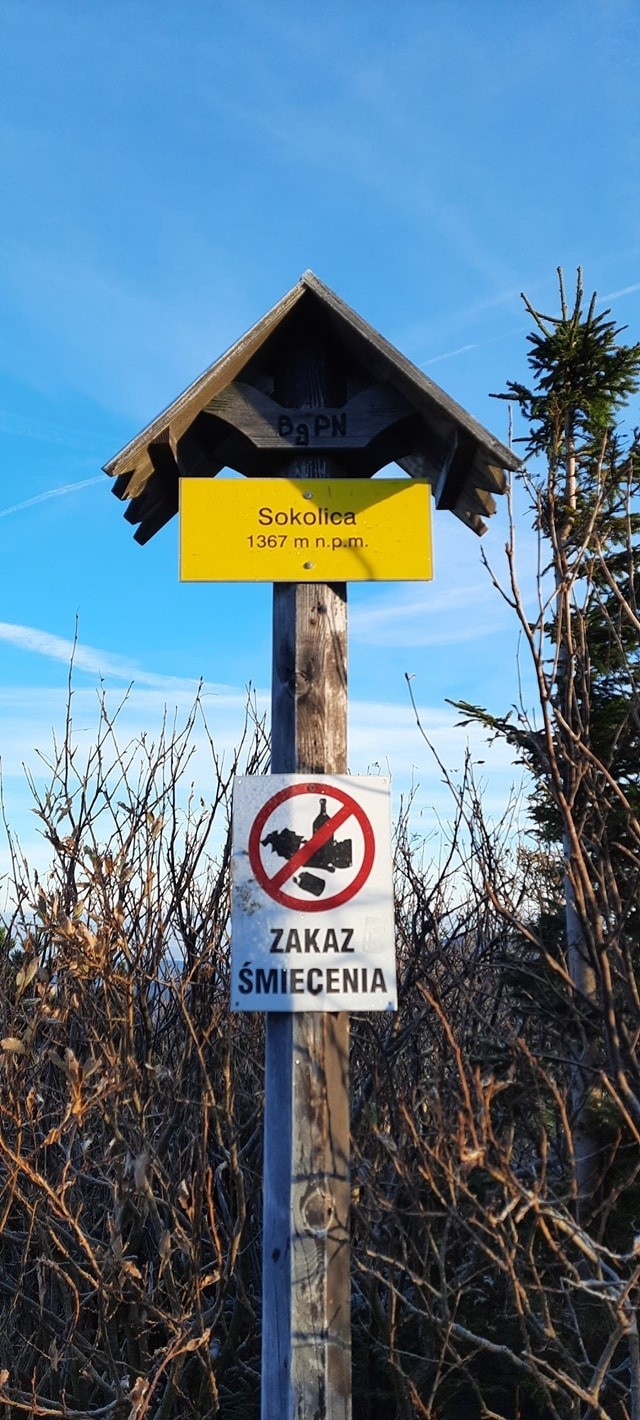 Beskidy. Diablak w jesiennej odsłonie - morze chmur i widok na Tatry [ZDJĘCIA]