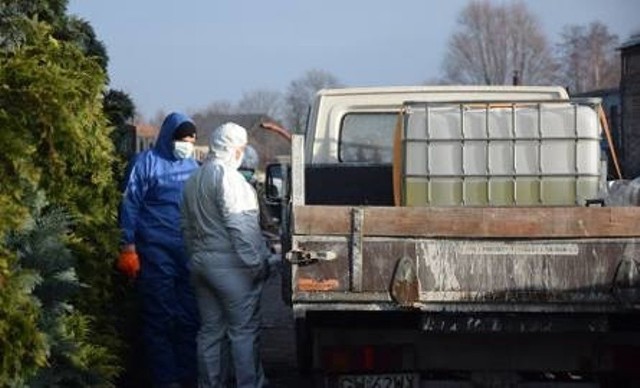 W Płonicy na terenie gminy Deszczno wykryto czwarte już ognisko ptasiej grypy.