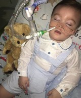 Alfie Evans walczy o życie. Przeżył kolejną noc bez aparatury podtrzymującej życie. Wsparcie dla Alfiego Evansa płynie z całego świata