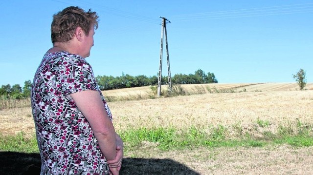 Jadwiga Podsiadło z Kosowic w gminie Bodzechów nie będzie miała w tym roku wystarczającej ilości paszy dla bydła. Trwająca od kilku tygodni susza sprawiła, że kukurydza prawie w ogóle nie wyrosła.