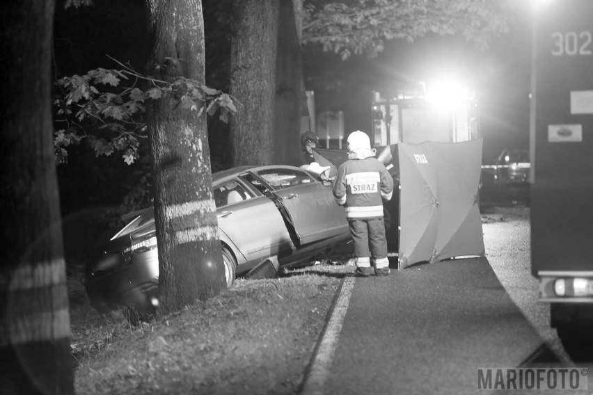 Wypadek w Ligocie Prószkowskiej pod Opolem. Citroen uderzył w drzewo. Nie żyje 32-latek z Opola