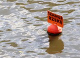 "Jesteśmy wstrząśnięci i zaskoczeni skalą oszczerstw". Jack-Pol: To nie my zatruliśmy Odrę