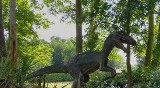 Jesteś fanem Jurrasic Park? A czy przeżyłbyś w Parku Jurajskim?