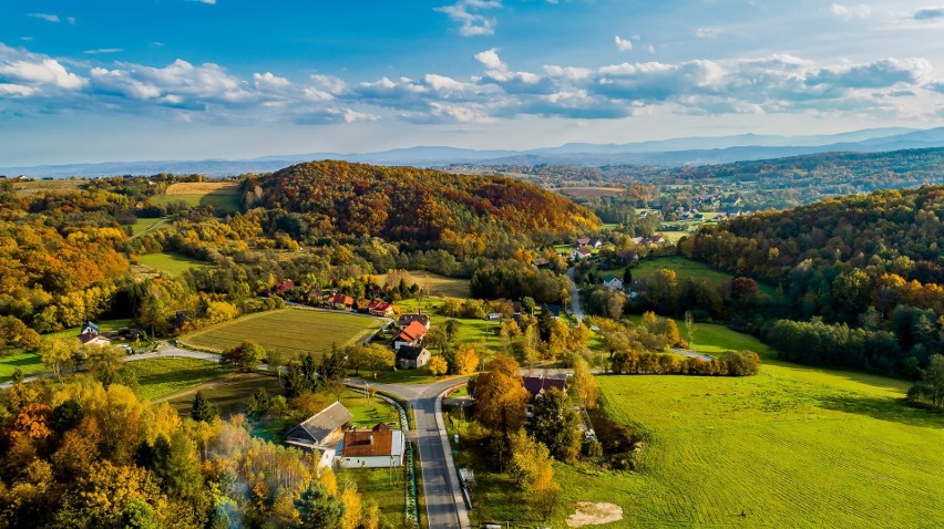 Zalesione wzgórze, czyli Las Winny w Dobranowicach (gmina...