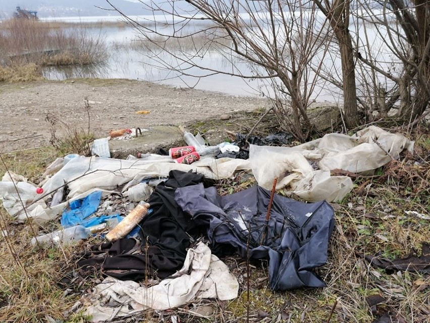 Na brzegach Jezior Żywieckiego i Międzybrodzkiego zalegają tony śmieci. To prawdziwa plaga ZDJĘCIA