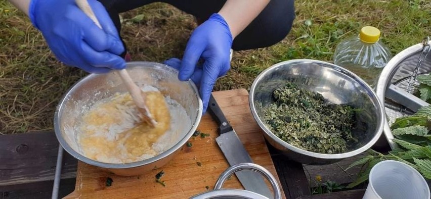 Bioblitz - niezwykłe warsztaty przyrodnicze w gminie Somonino [zdjęcia]