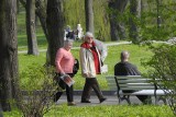 Są plany na nowy park w Nałęczowie. Brakuje tylko pieniędzy