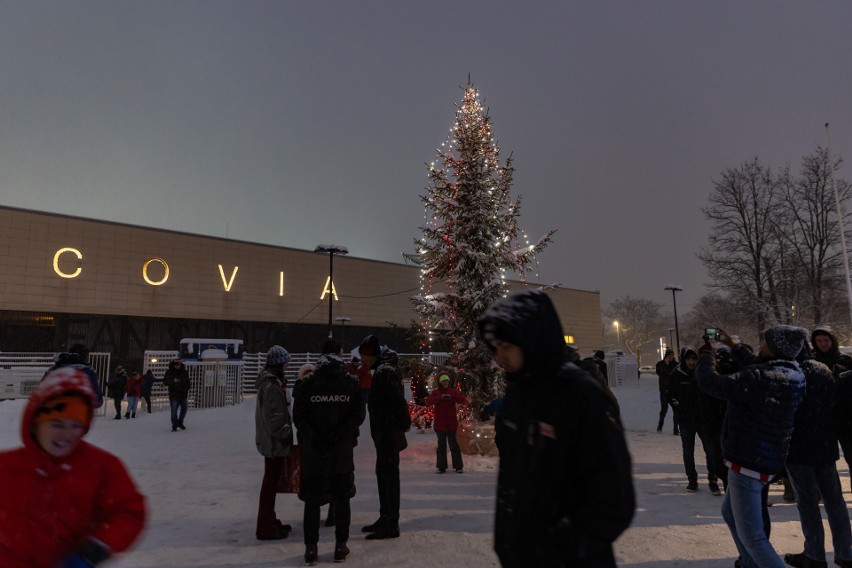 Cracovia ma już Święta. Przed stadionem przy ulicy Kałuży rozbłysła choinka. Zdjęcia