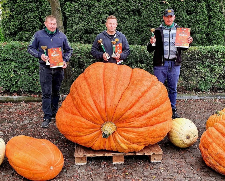 Dokładnie 514 kilogramów ważyła największa dynia, która...