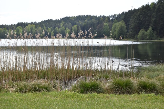Gmina Studzienice zaprasza na wakacje. Jest tu dużo jezior i ścieżek rowerowych.
