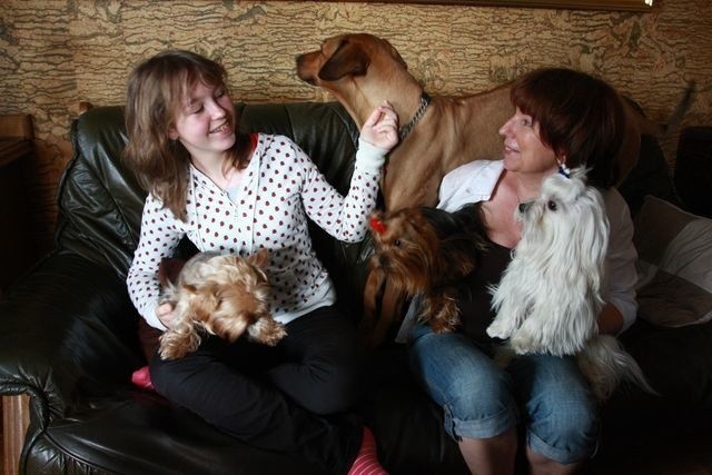 Hodowla psów to nie tylko rozmnażanie i czerpanie korzyści – mówi Małgorzata Nowak (z prawej). – To ciągła nauka o zwierzęciu i nieustanna pielęgnacja, przy której pomaga mi rodzina. (Fot. W. Oksztol)
