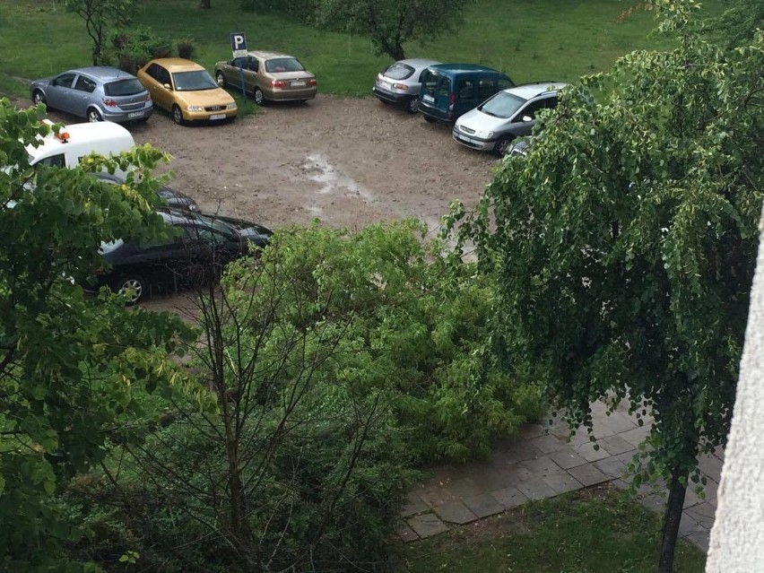 Burza w województwie podlaskim 17.06.2016. Połamane drzewa, zablokowane drogi, zerwanie linie 