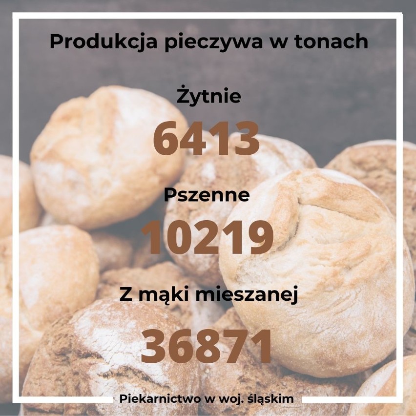 Jak wygląda piekarnictwo w woj. śląskim i gdzie w Katowicach kupisz najlepszy chleb?
