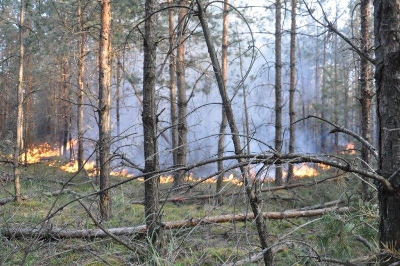 Pożar gmina Kadzidło