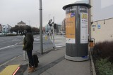 Poznań: Słup reklamowy na Garbarach utrudnia przejście pieszym. Co na to władze miasta? [ZDJĘCIA]