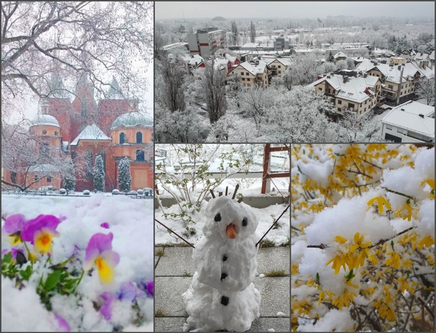 Wrocław pod śniegiem. Oto Wasze zdjęcia zasypanego miasta