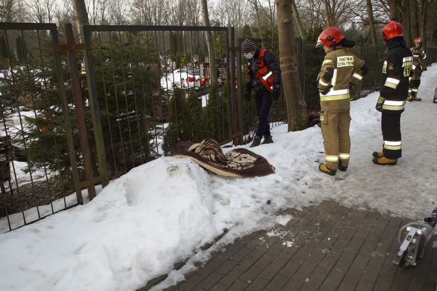 Zaklinowana sarna w ogrodzeniu cmentarza w Słupsku. Na pomoc ruszyli strażacy (ZDJĘCIA)