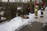Zaklinowana sarna w ogrodzeniu cmentarza w Słupsku. Na pomoc ruszyli strażacy (ZDJĘCIA)