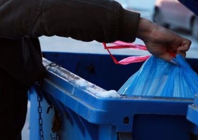 Puszki i makulatura najczęściej padają łupem złodziei posegregowanych śmieci.