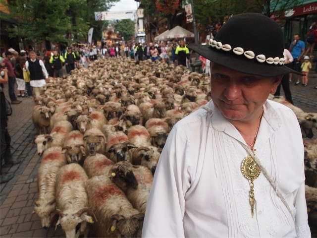 Stado 300 owiec prowadzonych przez baców z Polski, Rumunii, Ukrainy i Słowacji przeszło w piątek przez Krupówki