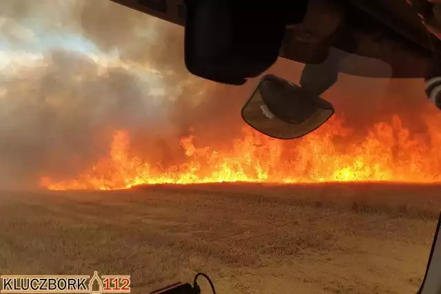 Pożar zboża na polu w Byczynie. Spaliło się 10 hektarów jęczmienia.