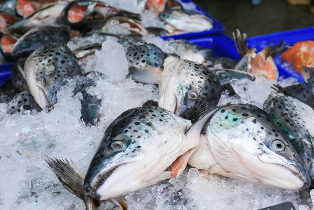 Po czym poznać świeżość ryby? Poznaj sprawdzone triki, które ułatwia zakup świeżej ryby.