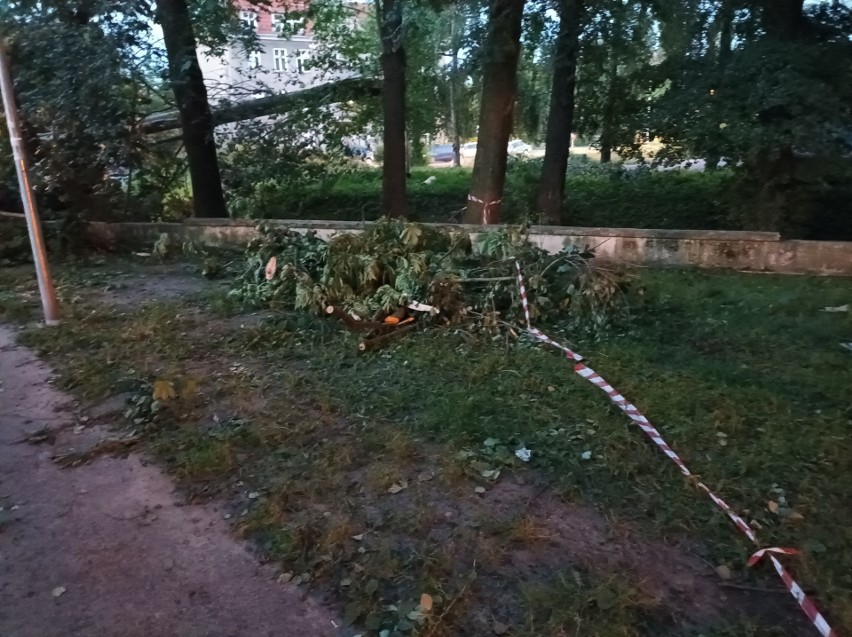 To, że po każdej wichurze na osiedlu Mokre w Toruniu padają...