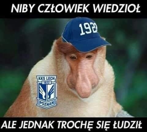 Memy po spotkaniu Lech Poznań - Zagłębie Lubin