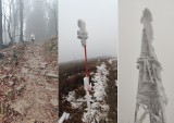 Na Przełęczy Orłowicza zima. Zdjęcia Czytelnika z niedzielnej wędrówki po Bieszczadach