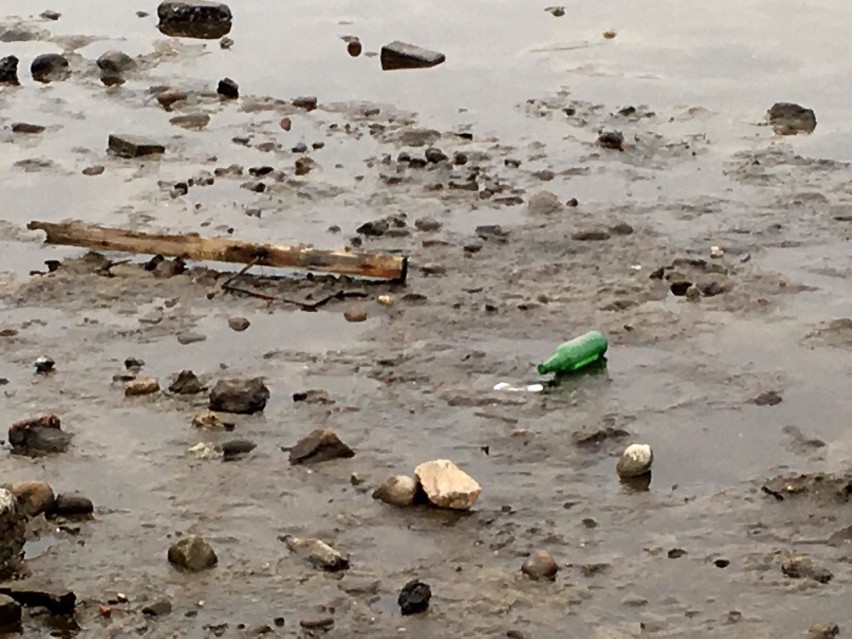 Wiosenna i brudna plaża w Pucku. W zatoce i przy molo góra śmieci - potłuczone butelki, pieluchy, opony [zdjęcia]