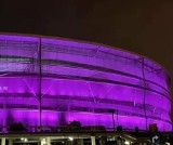 Dziś Światowy Dzień Wcześniaka. Darmowe konsultacje ze specjalistami w szpitalu przy Borowskiej i stadion podświetlony na fioletowo