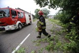 Po burzach do wieczoru 140 zgłoszeń do strażaków [ZDJĘCIA]