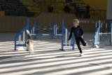 W Brzegu rozpoczęły się mistrzostwa Polski psów