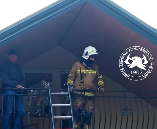 Strażacy  z Miejskiej Ochotniczej Straży Pożarnej w Stąporkowie na miejscu akcji w Czarnieckiej Górze.