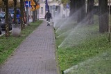 Nawadnianie trawnika deszczową porą przy skwerze Łukasiewicza. Takie rzeczy tylko w Poznaniu!