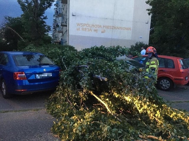 Zobacz, jakie szkody wyrządziła pogoda w niedzielny wieczór w Toruniu. Toruń, ul. Mikołaja Reja - drzewo powalone na samochody osobowe.