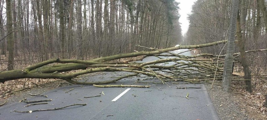 To był dla strażaków trudny piątek