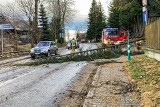 Halny w Zakopanem. Są już pierwsze powalone drzewa. Straż pożarna w akcji 