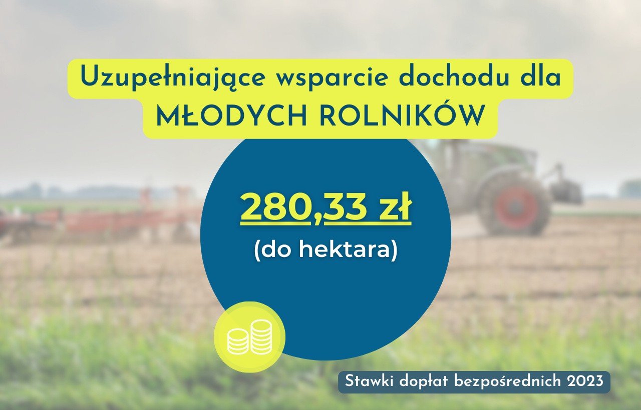 Płatność Dla Młodych Rolników Stawka 2019