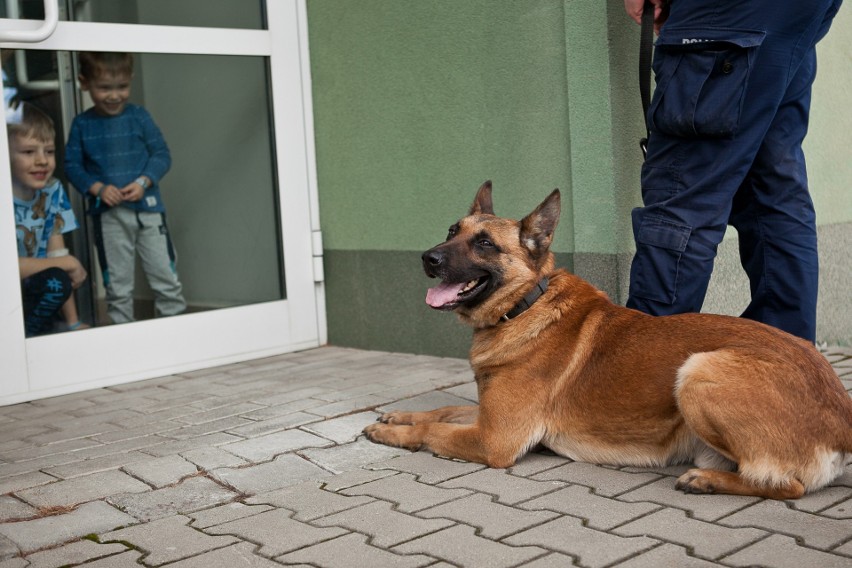 Wielkie serce dla dzieci przebywających w szpitalu, czyli akcja „Uśmiech dla Każdego”