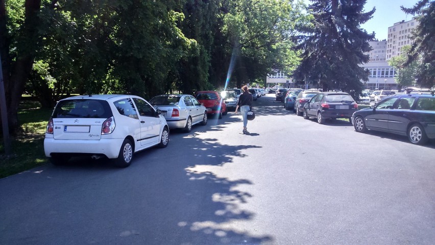 Postój w parku im. Jedności Polonii z Macierzą w Rzeszowie.