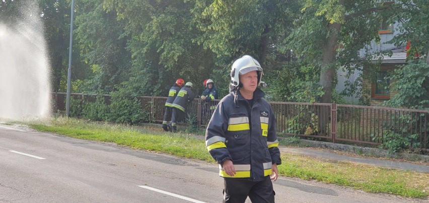 W sobotę około godz. 18 w miejscowości Redło (pow....