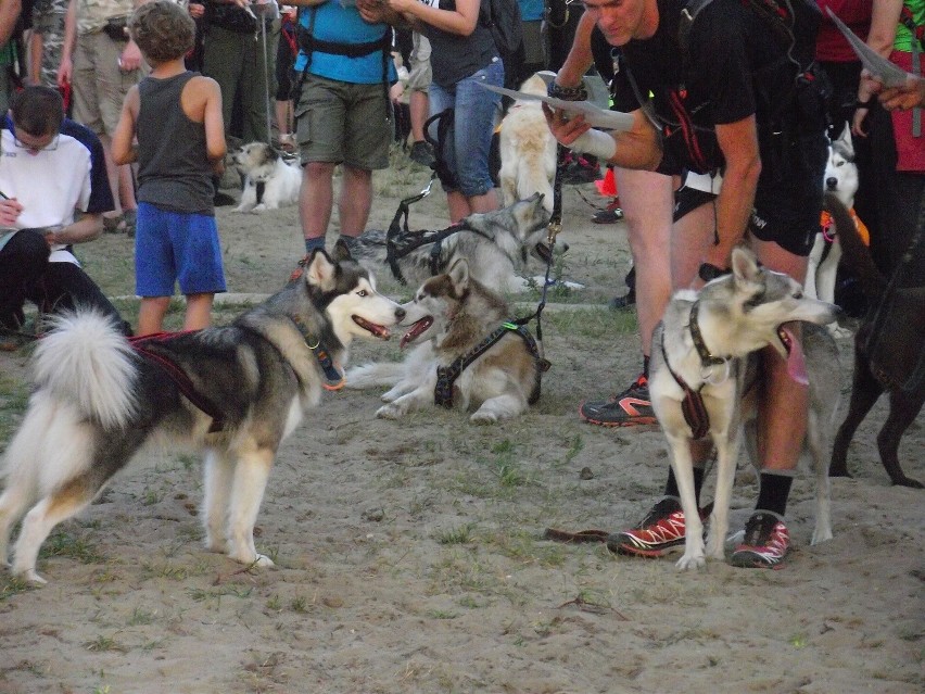 Nocny Puchar Polski w Dogtrekkingu odbył się w Kaletach