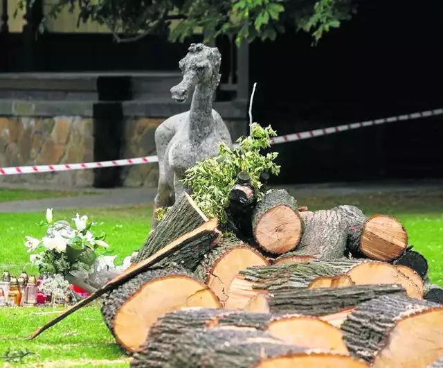 Do tragedii doszło w lipcu 2013 w parku w Szczanie-Zdroju