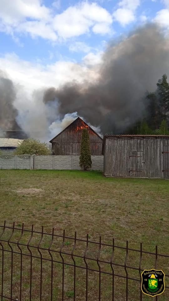 Pożar w gminie Baranowo. W miejscowości Orzoł paliły się zabudowania gospodarcze. 12.05.2022. Zdjęcia