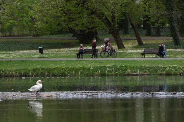 Muzyka Fryderyka Chopina w poznańskich parkach będzie promować życie i twórczość kompozytora, jak i stolicę Wielkopolski.